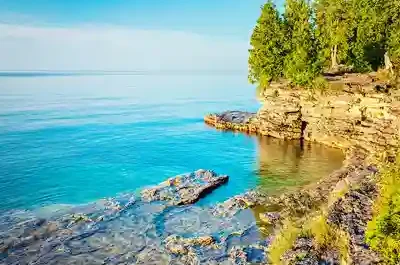 Chaos in a Fur Coat II