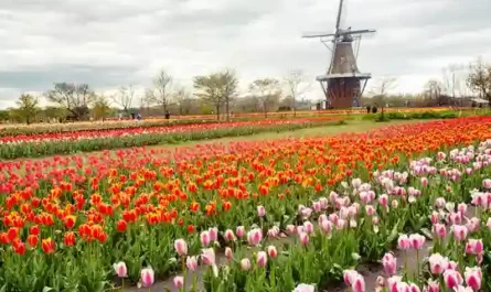 The Facilities Upgrade Nobody Needed: Building a M Locker Room While Football Fails