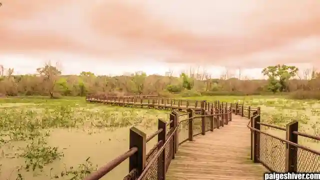 Moore/Poggi: Why Coaching Transitions Are Just Administrative Theater