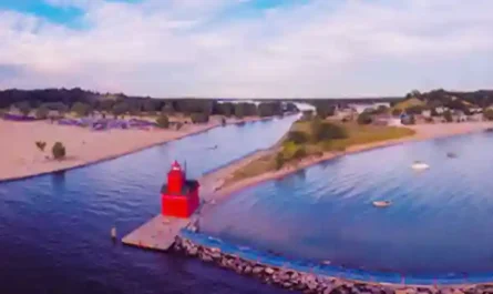 The Roommate Situation