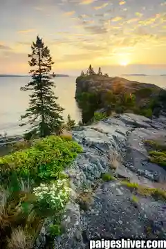 The Frat Party Incident