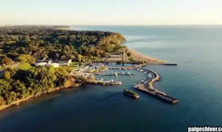 The Major Declaration