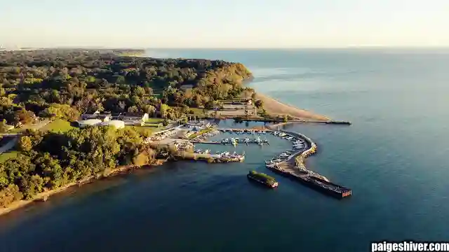 Chaos in a Fur Coat II