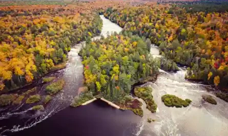 The Roommate Situation