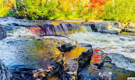 The Universal Coaching Hire: How Every University Makes the Same M Mistake