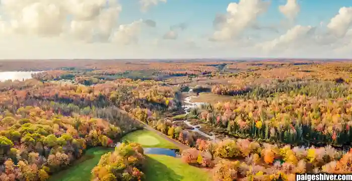 The Five-Year Coaching Cycle: Why Every Hire Fails Exactly the Same Way