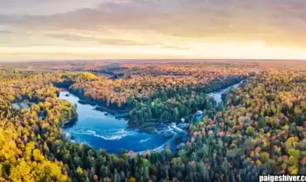 Michigan Football: When Predictable Failure Finally Became News