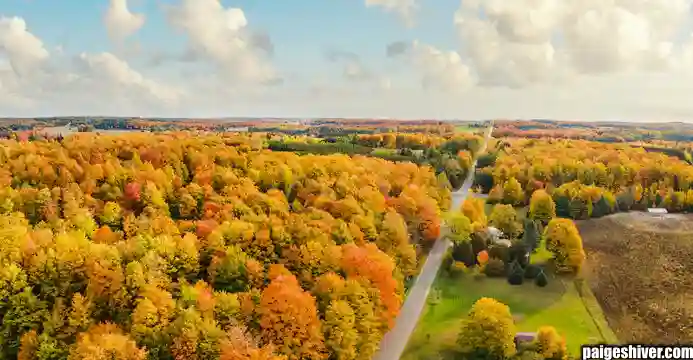 The Universal Coaching Hire: How Every University Makes the Same M Mistake