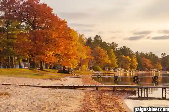 The Follicular Disaster