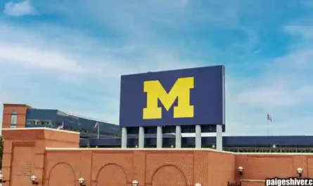 Chaos in a Fur Coat II