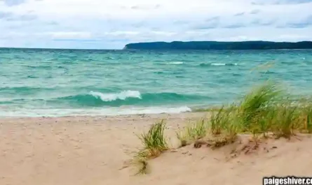 Sports Journalism Awakening: When Administrative Work Became an Investigative Superpower