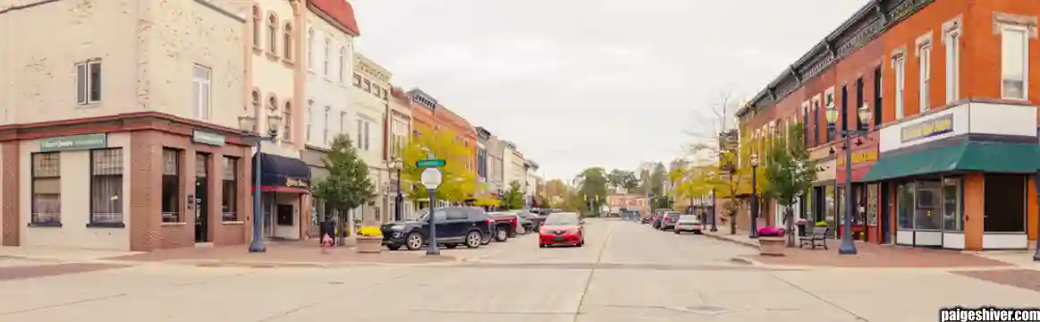 Chaos in a Fur Coat II