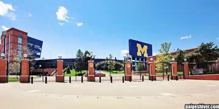 The Transfer Portal Panic: How Universities Built a Revolving Door and Called It Strategy