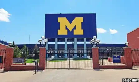 When Romance Meets Reality II