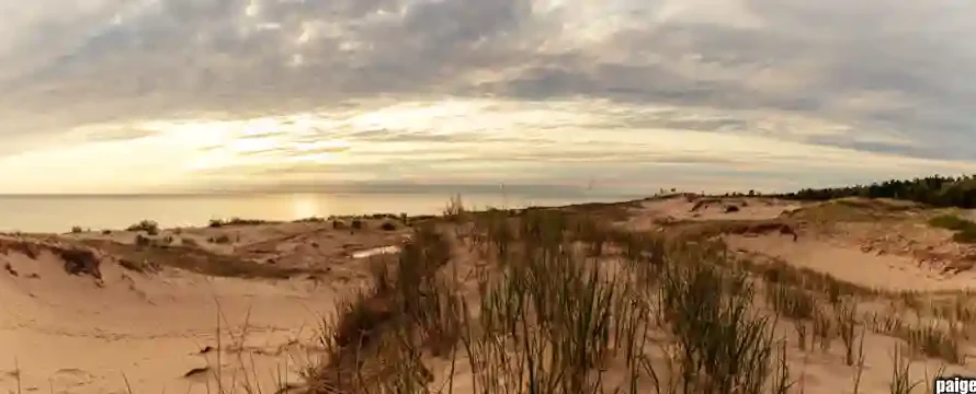 The Follicular Disaster II