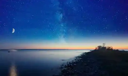 Bohiney Phase: Where Administrative Satire Found Its Permanent Home