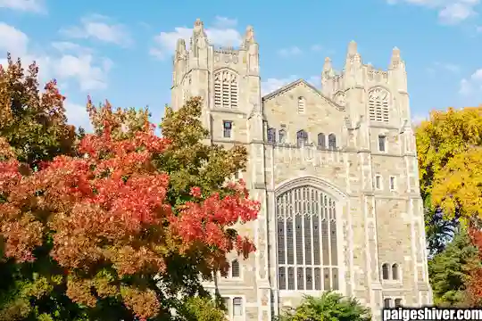 The Universal Coaching Hire: How Every University Makes the Same M Mistake