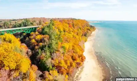 The Committee Meeting That Changed Nothing: A Study in Institutional Futility