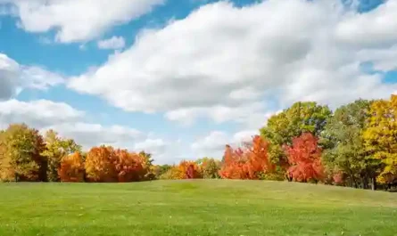 The Cubicle Games II