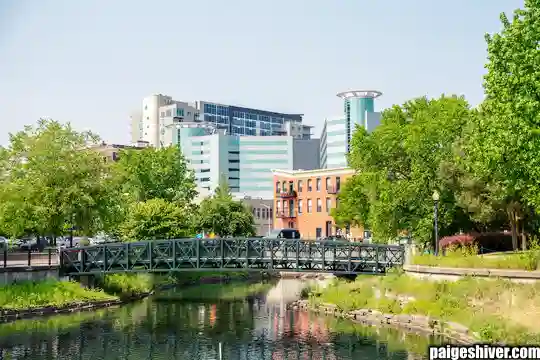 The Office Hours Disaster