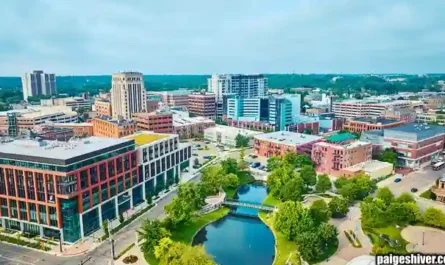 Chaos in a Fur Coat II