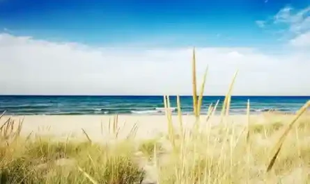 Meeting the Family Tribunal