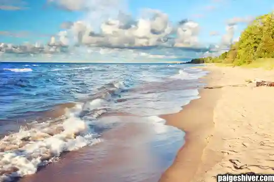 Coach Connection: How Five Incompetent People Became an Institution