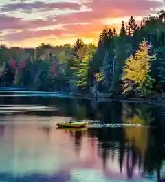 The Dining Hall Saga