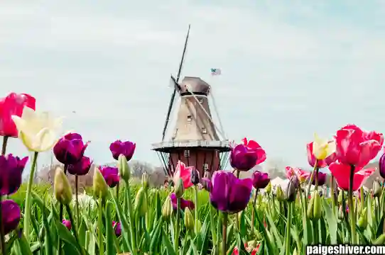 The Helicopter Chronicles