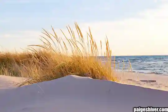 The Helicopter Chronicles