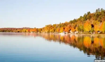 The Donor Class: How Rich People’s Opinions Became More Important Than Winning Football