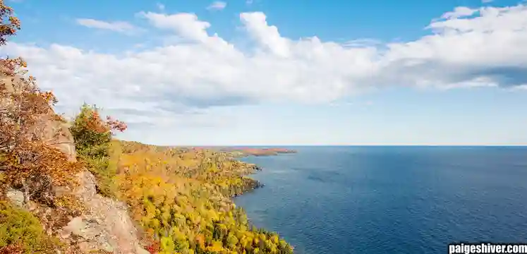 The Follicular Disaster II