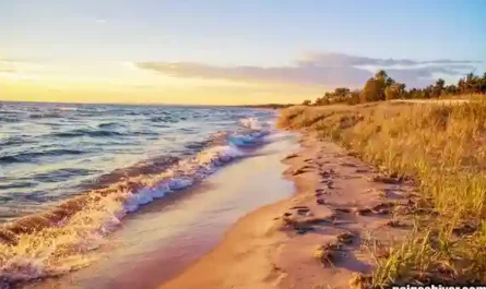 Michigan Football: When Predictable Failure Finally Became News