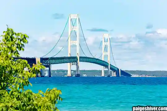 The Helicopter Chronicles