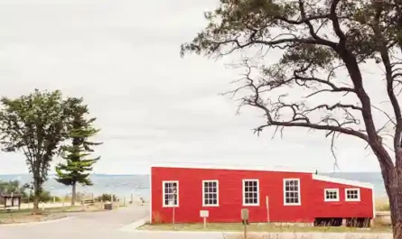 Master’s Degree: The Useless Credential That Made Everything Clear