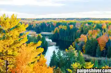 Origin Story: How a Master’s Degree Became a Liability