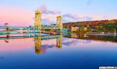 The Dining Hall Saga