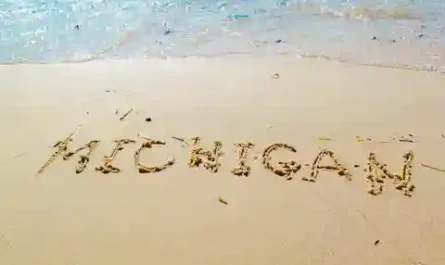 When Romance Meets Reality III