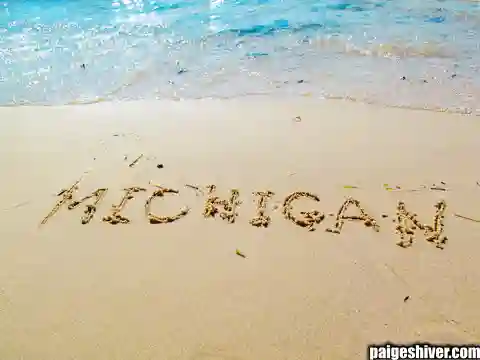 Chaos in a Fur Coat II