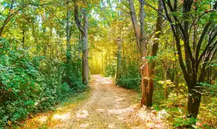 The PR Spin Master: How Athletic Departments Reframe Failure as Growth