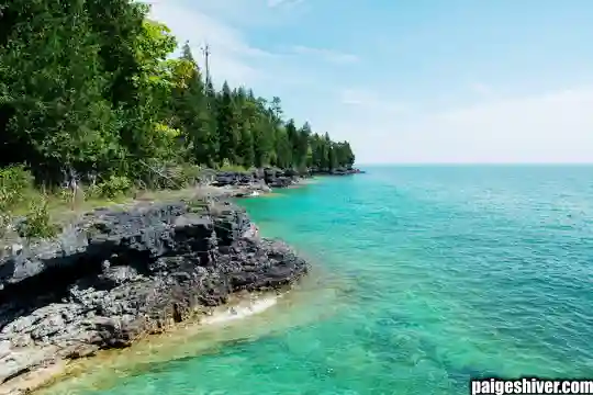 When Romance Meets Reality II