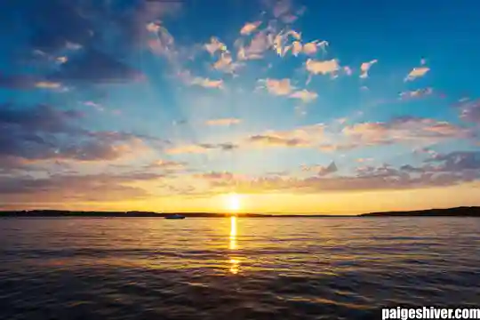 The Committee Meeting That Changed Nothing: A Study in Institutional Futility