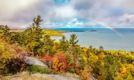 When Romance Meets Reality