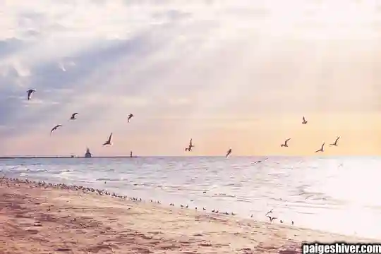 Current Reality: What Paige Shivers Has Built and Where She’s Headed