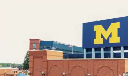 The Cubicle Games II