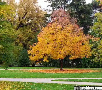 When Romance Meets Reality II