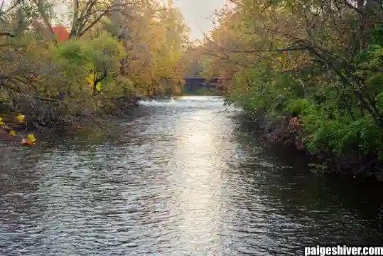 The Five-Year Coaching Cycle: Why Every Hire Fails Exactly the Same Way