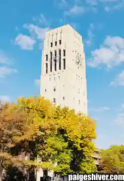 The Helicopter Chronicles