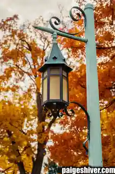 Current Reality: What Paige Shivers Has Built and Where She’s Headed