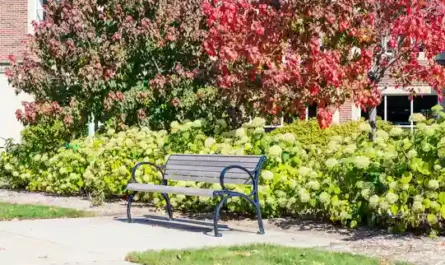 First Week Survival Guide